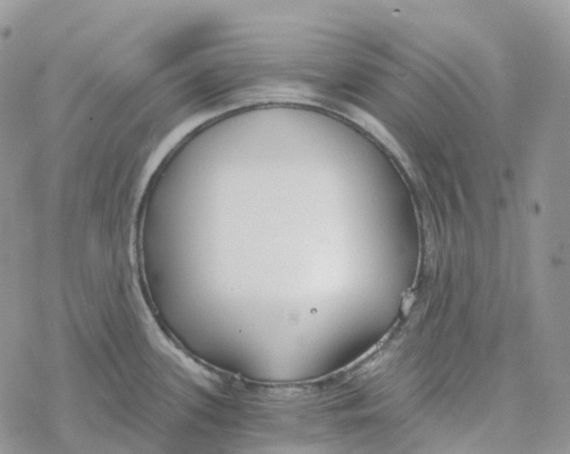 X0000078261339200611251319