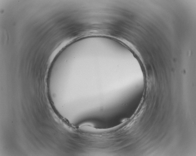 X0000078261341200611251319