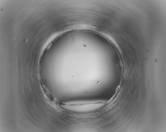 X0000078261342200611251319