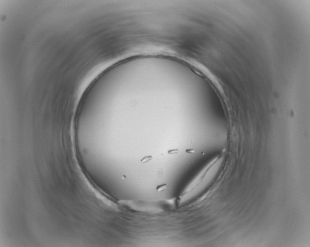 X0000078261343200611251319