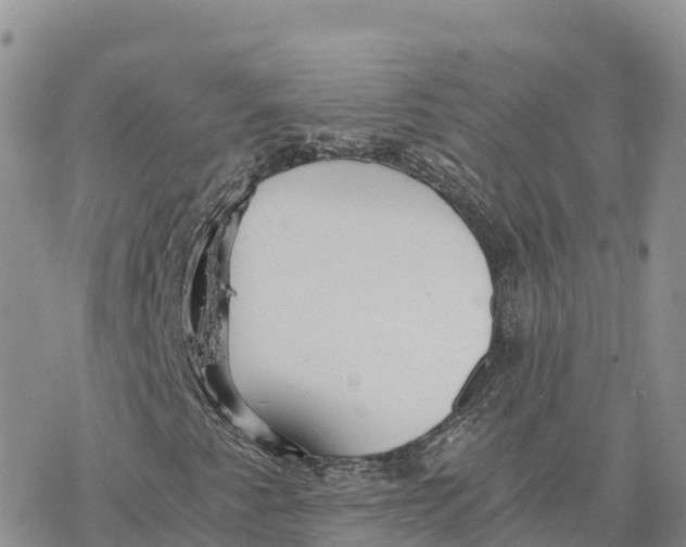 X0000078261345200611251318