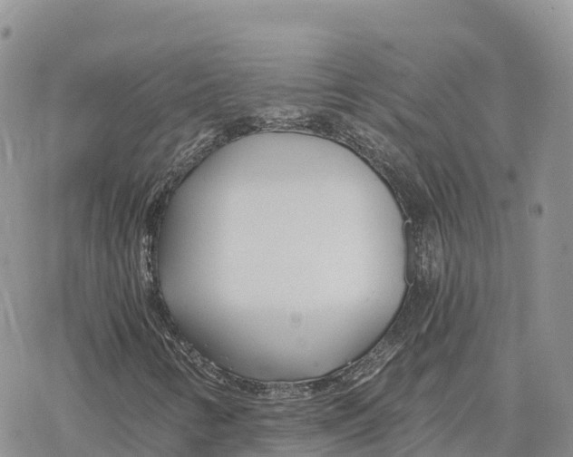 X0000078261346200611251318
