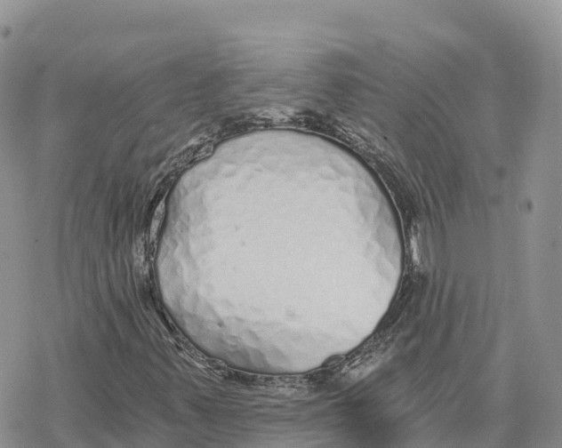 X0000078261347200611251318