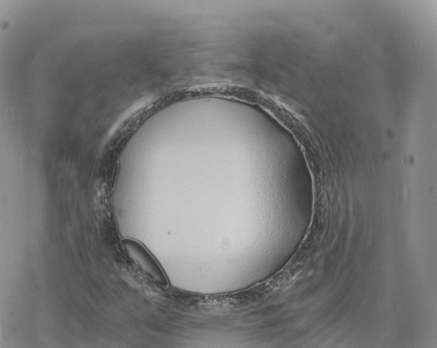 X0000078261351200611251318