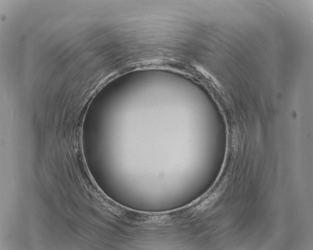 X0000078261353200611251318