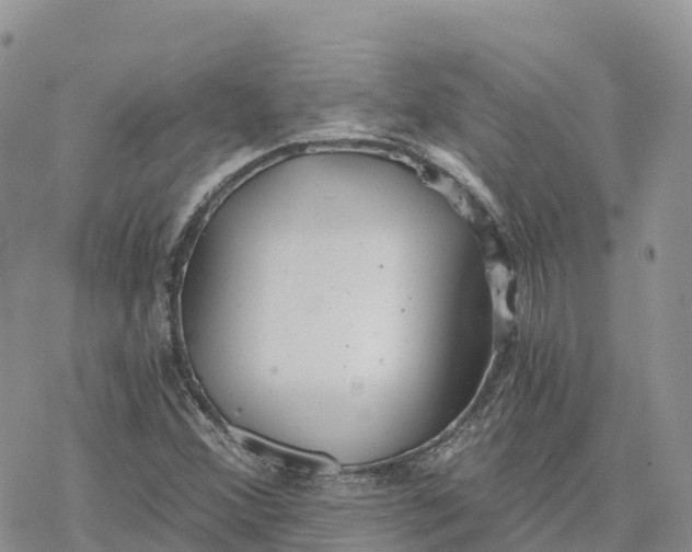 X0000078261356200611251318