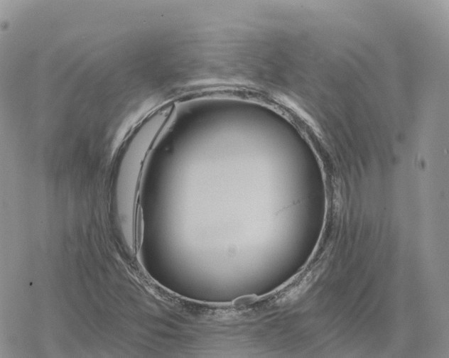 X0000078261357200611251318