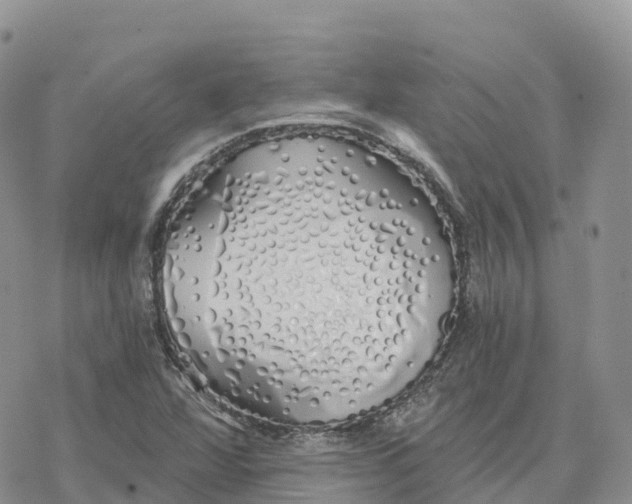 X0000078261360200611251318