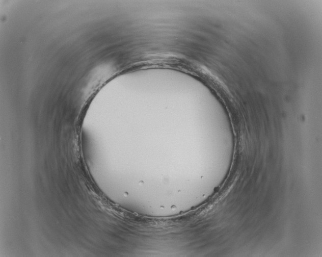 X0000078261362200611251318