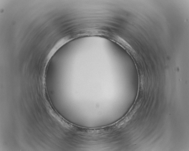 X0000078261378200611251318