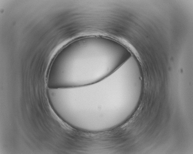 X0000078261380200611251318