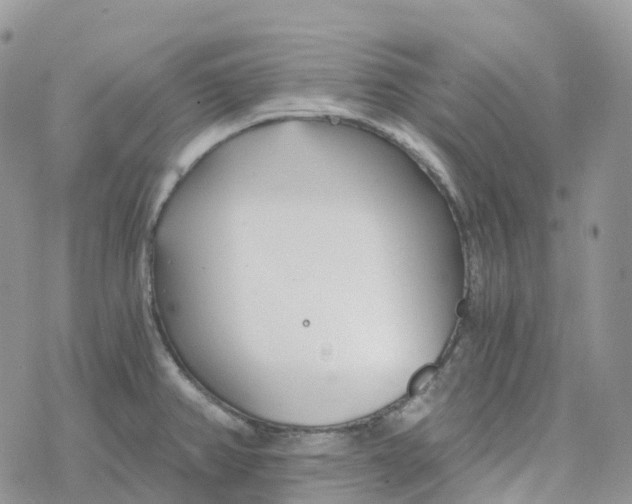 X0000078261382200611251318