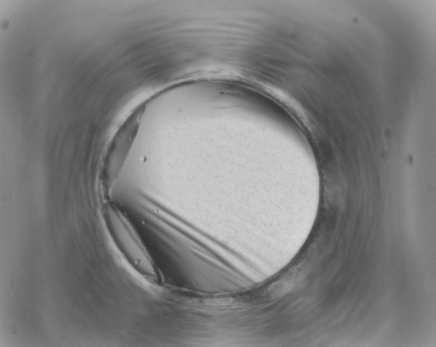 X0000078261383200611251318