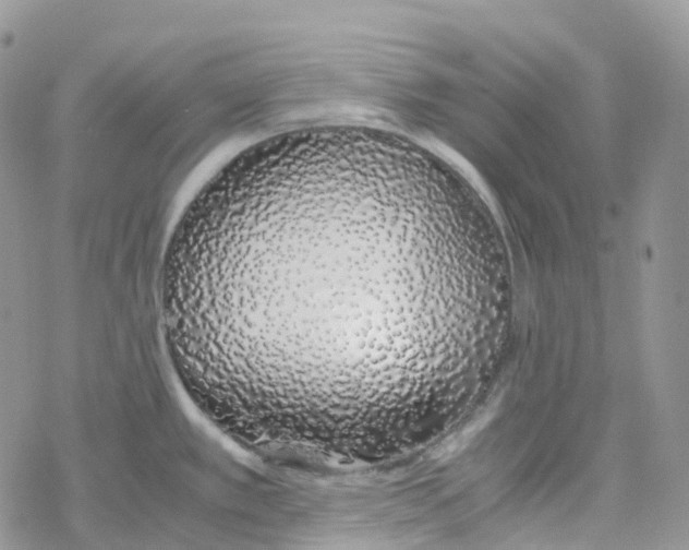 X0000078261389200611251318