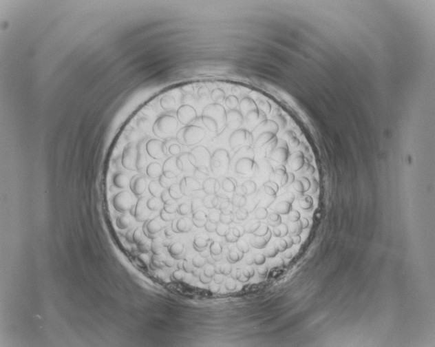 X0000078261432200611251317