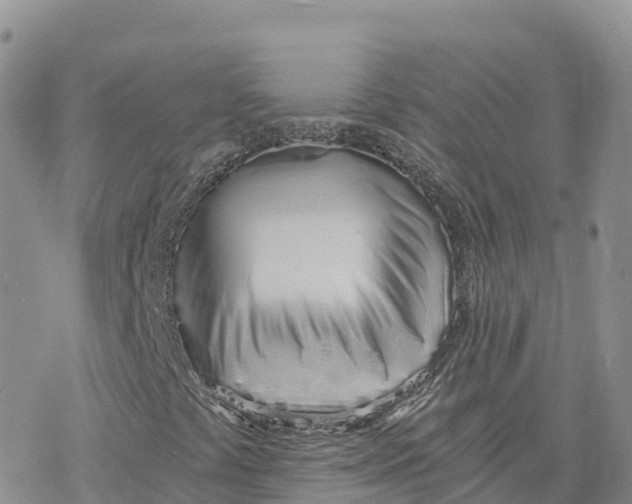 X0000078261441200611251317