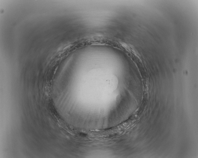 X0000078261445200611251317