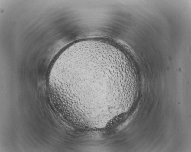 X0000078261457200611251316