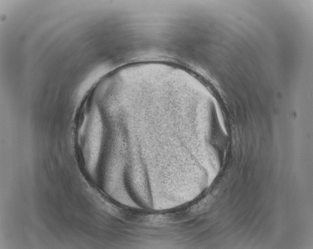 X0000078261463200611251316