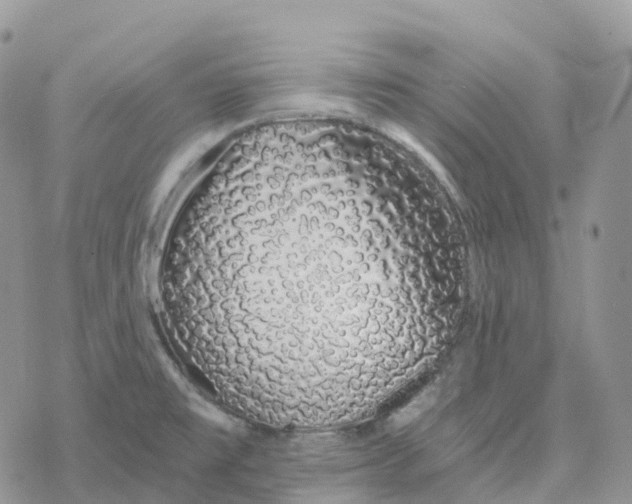 X0000078261477200611251316
