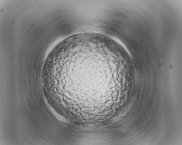 X0000078261485200611251316