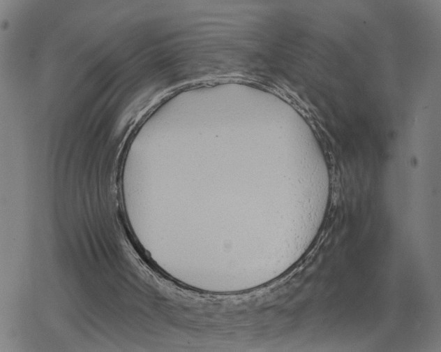 X0000078260002200612011706