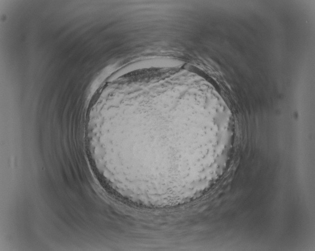 X0000078260003200612011706