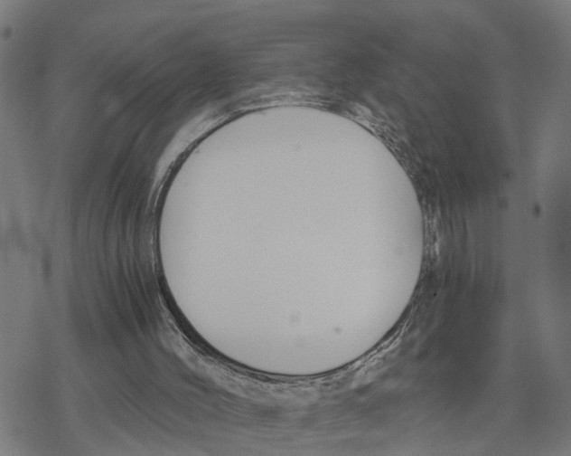 X0000078260004200612011706