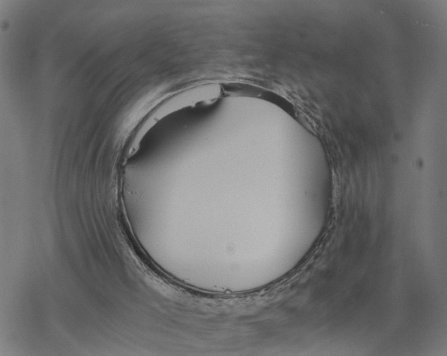 X0000078260005200612011706