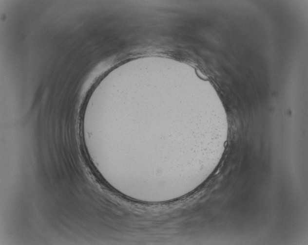 X0000078260006200612011706