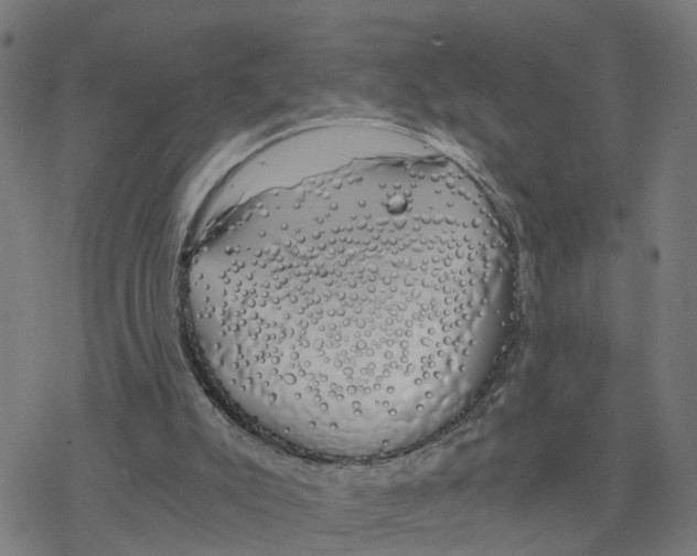 X0000078260007200612011706