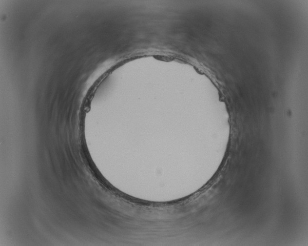 X0000078260008200612011706