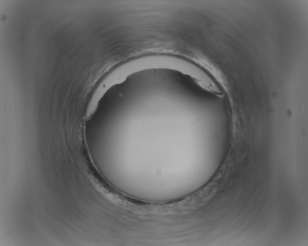 X0000078260009200612011706