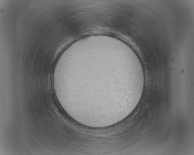 X0000078260010200612011706