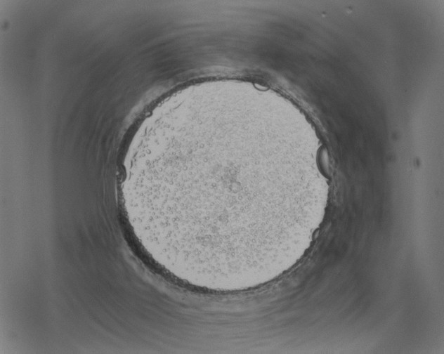 X0000078260011200612011706