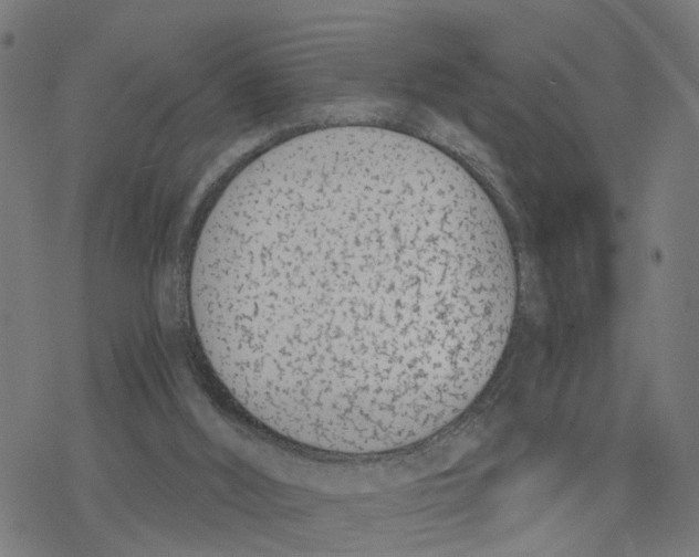 X0000078260012200612011706