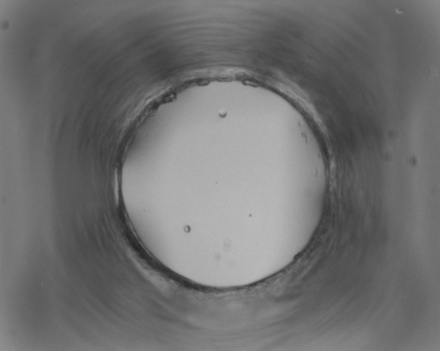 X0000078260013200612011706