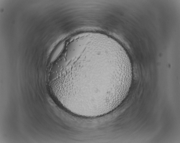 X0000078260015200612011706