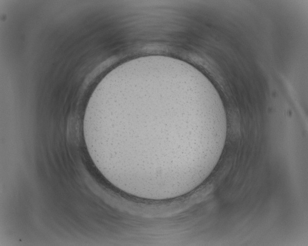 X0000078260016200612011706