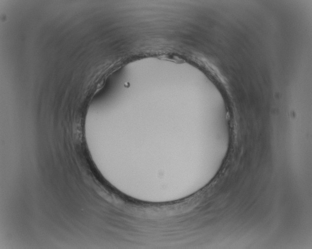 X0000078260017200612011706