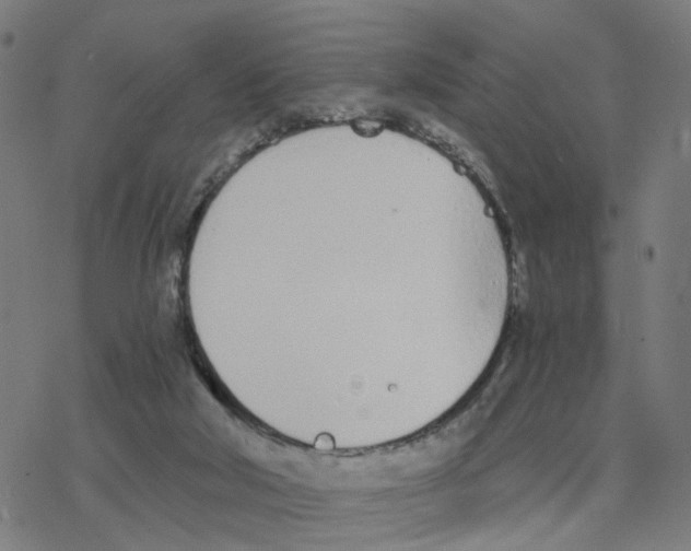 X0000078260018200612011706