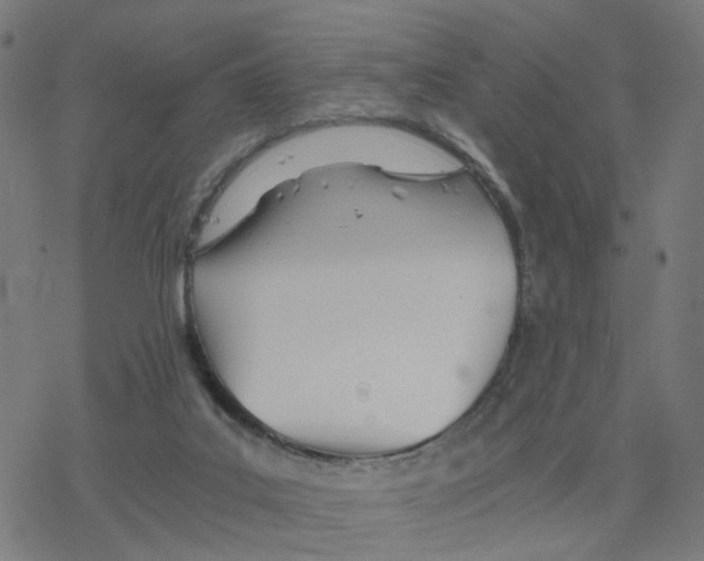 X0000078260019200612011706