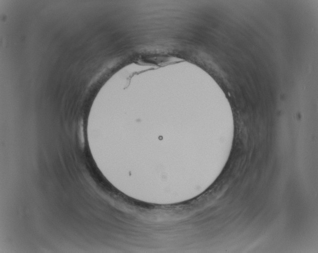 X0000078260020200612011706