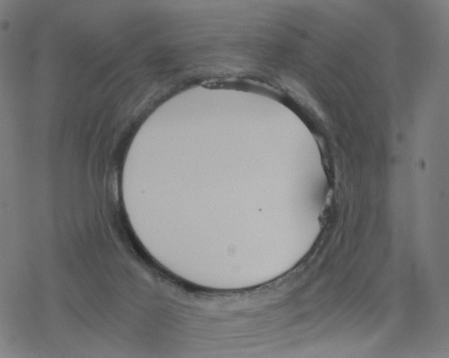 X0000078260021200612011706