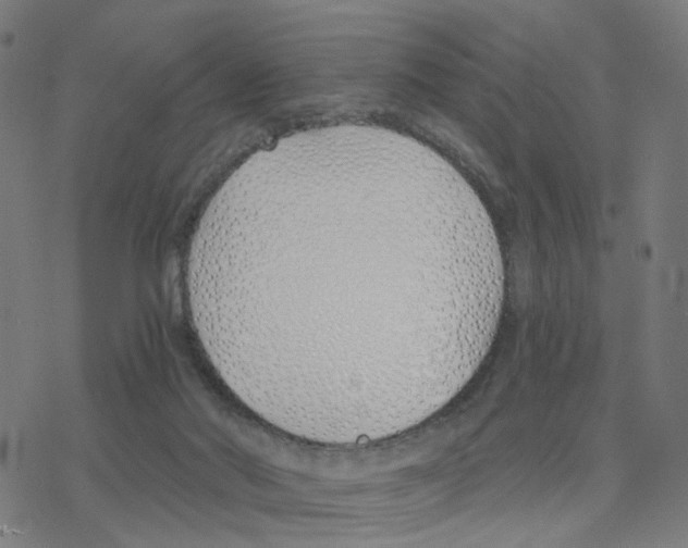 X0000078260022200612011706