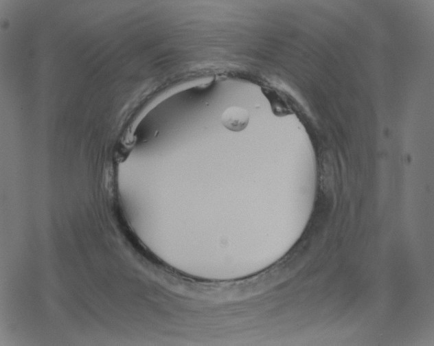 X0000078260023200612011705