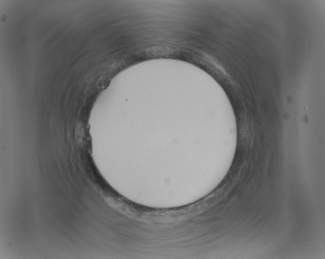 X0000078260025200612011705