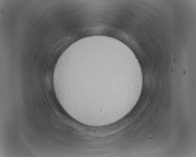 X0000078260026200612011705