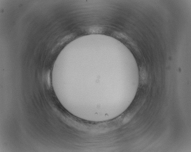 X0000078260028200612011705