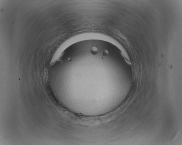 X0000078260029200612011705